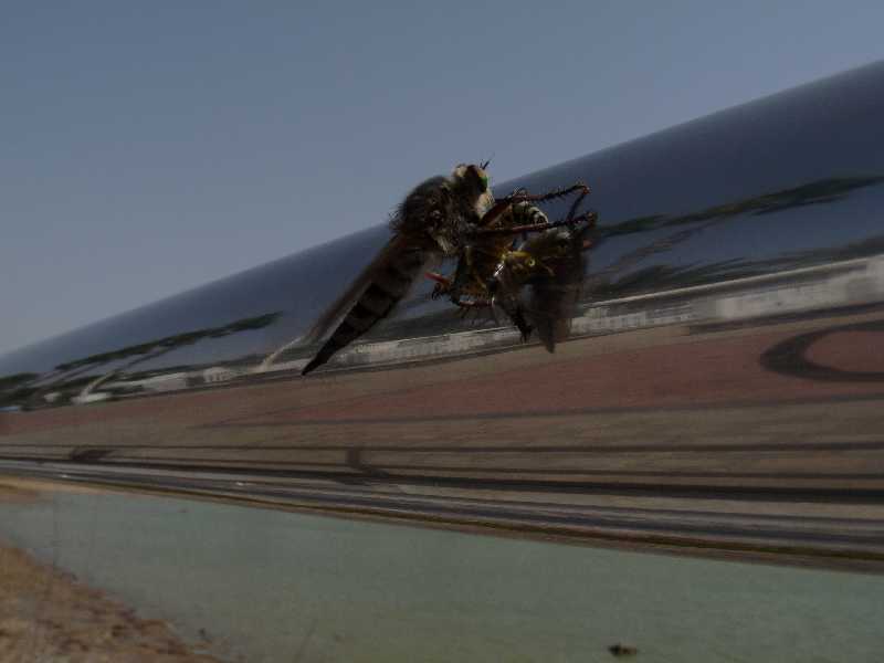 GC_Fa_01