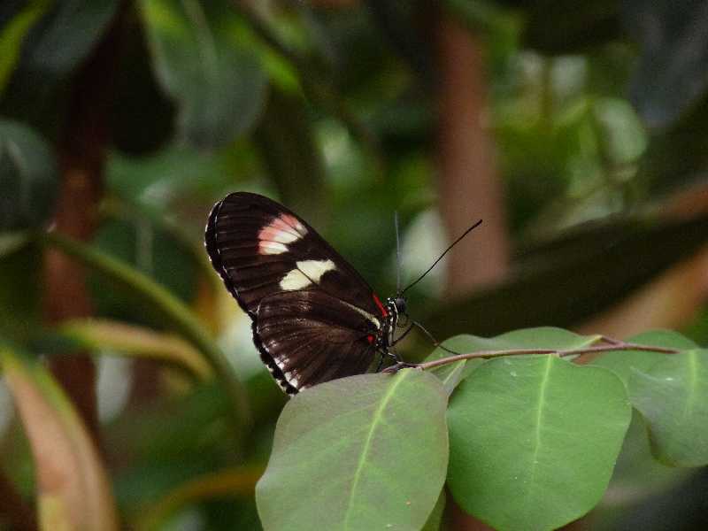 GC_Fa_07