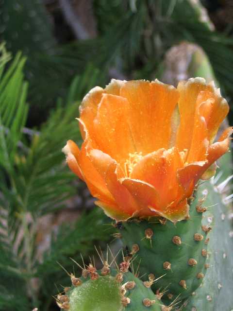 Mad_Fl_02