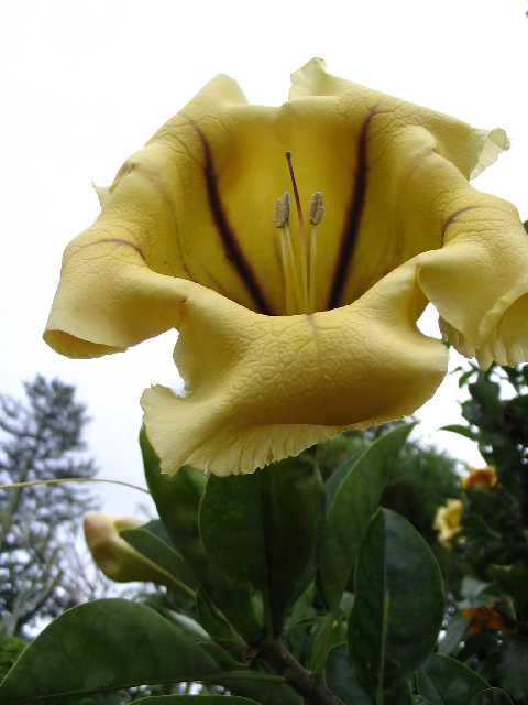 Mad_Fl_78