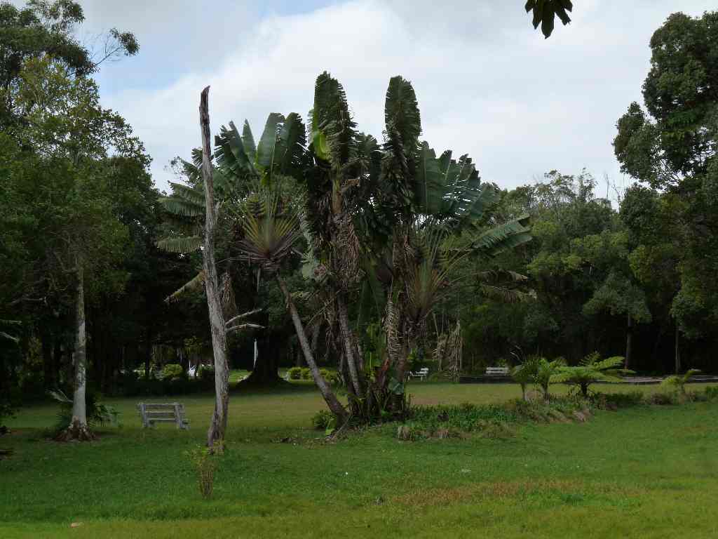 Mau_Fl_20